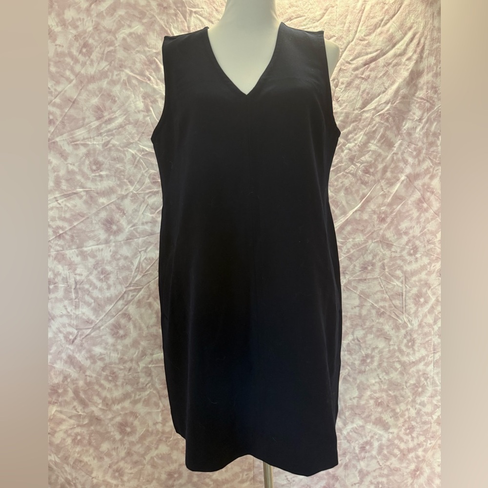 GAP Navy Shift Dress